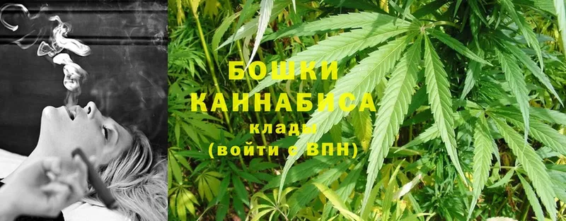 купить   Гурьевск  Каннабис план 